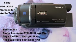 Sony FDR AX53 camcorder audio test [upl. by Sidalg]