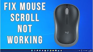 How to Fix Mouse Scroll Not Working on Windows 1110 [upl. by Dirfliw]