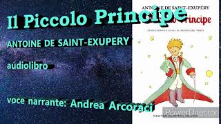 Il Piccolo Principe audiolibro [upl. by Squire967]