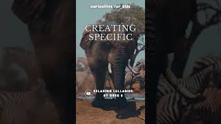 Elephants can communicate using low sounds creating specific quotsongsquot that are [upl. by Huldah468]