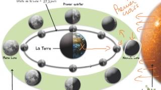 Les phases de la lune [upl. by Liahus]