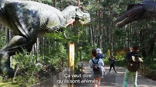 Présentation du projet dimplantation dun Parc Dinopedia à Trévoux [upl. by Yornoc142]