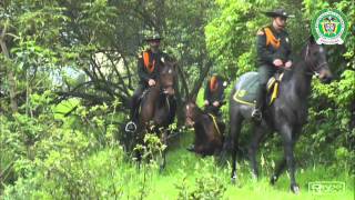 Dirección de Carabineros y Seguridad Rural DICAR  policiadecolombia [upl. by Nohsar]