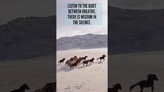 Horse Wisdom Lessons for the Soul  inspiration motivation shorts [upl. by Ianaj]