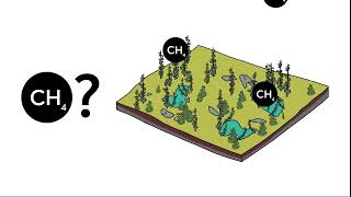 Peatlands Methane and Global Warming [upl. by Leak]