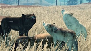 How to lead a wolf pack in Yellowstone Unleashed Roblox pt1 [upl. by Asle]