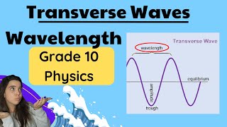 Transverse Waves grade 10 Wavelength [upl. by Eggleston811]