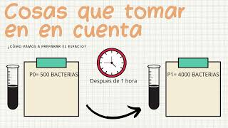 ProyectoCrecimiento bacteriano exponencial [upl. by Etteragram42]