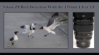 Nikon Z8 Bird Detection With the 135mm 18 Plena at 18 [upl. by Goldstein]