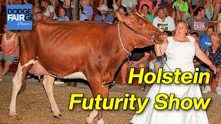 Holstein Futurity Show  2024 Dodge County Fair [upl. by Collyer807]