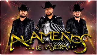 Popurri Los Alameños  Las Mas Chingonas PaBailar MIX  Corridos y Cumbias Sierreñas [upl. by Yoc]