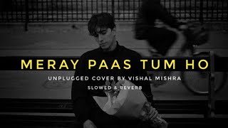 Meray Paas Tum Ho Slowed amp Reverb  Without Music  Vishal Mishra  Heart Snapped [upl. by Calabresi]