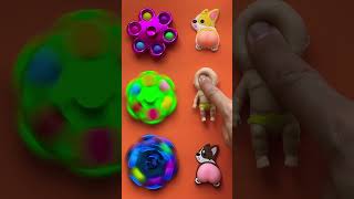 Squishy Corgi Fidget Fun 🤩😱😂 satisfying squishy corgi fidget funny shorts asmr [upl. by Horace]