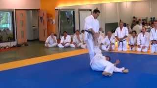 Tanto Kaeshi Waza  Sakai Sensei amp Findlay Sensei [upl. by Neron]