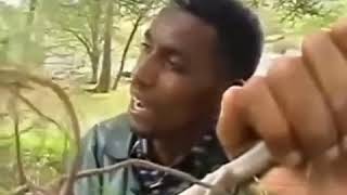 አስፋው መለሰ “kayet endenasagn“ Asfaw Melese Protestant Mezmur Getayen lamlkaw 1 [upl. by Goulden601]