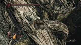 Dark Souls II Scholar of the First Sin Guide House Key Location [upl. by Ailekahs]