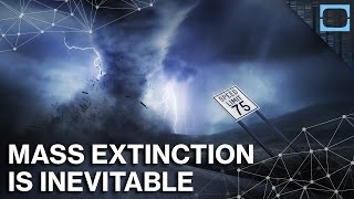 Why The Next Mass Extinction May Already Be Here [upl. by Jacquelin]