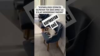 KOPARILAMAYAN TEK BAĞ ANNELİK BAĞIDIR kesfetteyiz annelik duygusalvideolar annesevgisi [upl. by Yemorej]