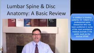 Dr Gillards presentation of Lumbar Spine and Disc Anatomy [upl. by Rehpotisrhc]