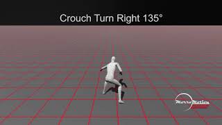 Crouch amp Prone MoCap [upl. by Atiuqiram]