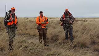 Upland Hunt Camp in Idaho [upl. by Pruter]