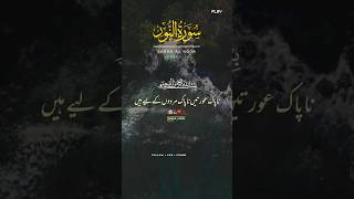 surah AlNoor Verse no26quranrecitation qurantranslation quranverses islamicinspiration quran [upl. by Jaret]