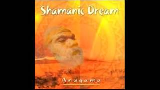 Shamanic Dream by Anugama [upl. by Fuchs574]