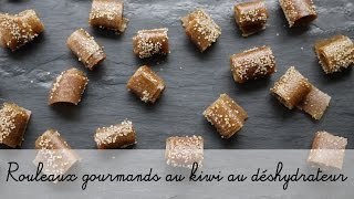 Recette au déhsydrateur en vidéo  Rouleaux gourmands au Kiwi [upl. by Dlanar]