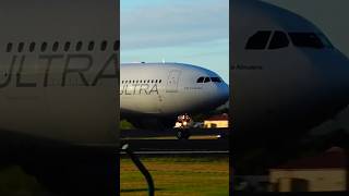 Flying Beautys Compilation at Lajes Terceira Azores shorts [upl. by Sisson138]