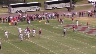 HampdenSydney Football Highlights vs Shenandoah University  October 24 2015 [upl. by Comethuauc]