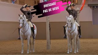 Spanish Riding School Pas De Deux  White Lippizaner Stallions [upl. by Aihsot]