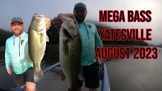 58 POUND HAMMER  Yatesville Lake  August 2023 [upl. by Najib478]