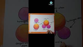 How to drawing Water Molecule Diagram drawing sciencediagram molecule diagram shorts [upl. by Nemzaj]