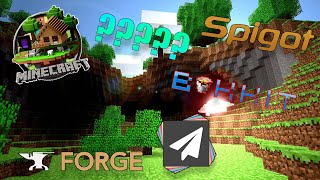 Minecraft 1171 Servers Vanilla Bukkit Spigot Paper Forge Fabric Whats The Difference [upl. by Johathan]