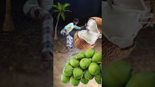 Creative videography 🥒😉💡 Coconut 🥥shorts funny comedy edit [upl. by Hidie]