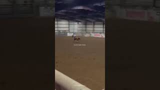 🤦🏻‍♀️ not me smashing them barrels in the first clips 😭 horse rodeolifestyle rodeolife [upl. by Ttayh749]