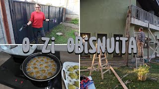 Cum gătim noi Falafel  O zi obișnuită cu un final satisfăcător [upl. by Aksel]