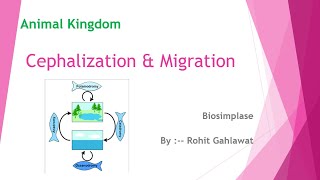 19 Cephalization and Migration [upl. by Aneev]