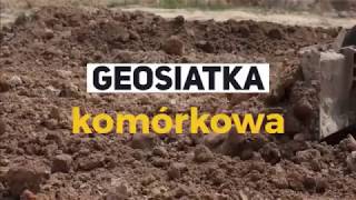 Geosiatka komórkowa [upl. by Ennayelhsa]