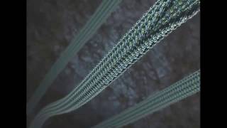 Microtubule Depolymerization [upl. by Hokanson665]