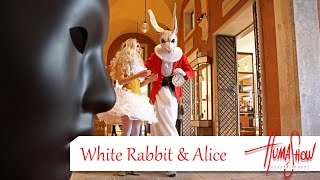 White Rabbit amp Alice [upl. by Adanar]