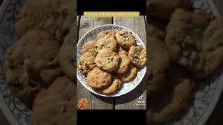 Original CHIPITS Cookies recipe [upl. by Aniluj4]