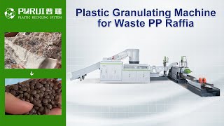 Plastic Granulating Machine for Waste PP Raffia PP Woven Bag PP Knitted Bag  Purui Machinery [upl. by Irianat738]