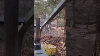 Logging with a timberjack 🪓 logging stihl loggingvideos loggerlife woods [upl. by Janella]