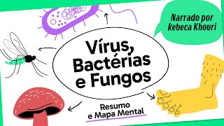 VÍRUS BACTÉRIAS E FUNGOS  BIOLOGIA  Mapa Mental  Quer Que Desenhe [upl. by Louth]