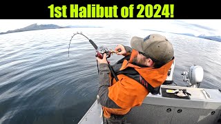 1st Halibut of 2024 Alaskan Halibut Fishing  Juneau Alaska April 2024 alaska halibut bigfish [upl. by Esidarap59]