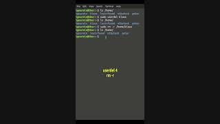 Linux Terminal Kurs 38  userdel Benutzerkonto löschen rm  r 4 [upl. by Krauss973]
