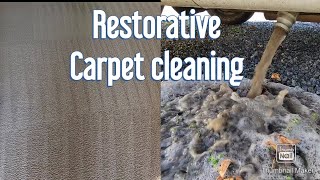 Deep carpet cleaning [upl. by Sell647]