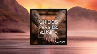 Unidos Para La Musica  David Vendetta  CANDICE REMIX [upl. by Nesral]