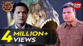 क्या CID सुलझा पाएगी Piranhas के Case को  CID  Real Heroes  Full Episode [upl. by Saxon]